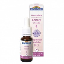 08 - Chicory - Chicorée - 20 ml