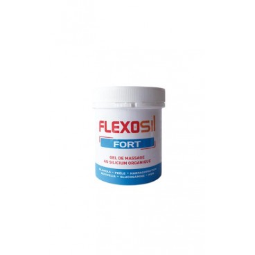 FLEXOSIL FORT GEL